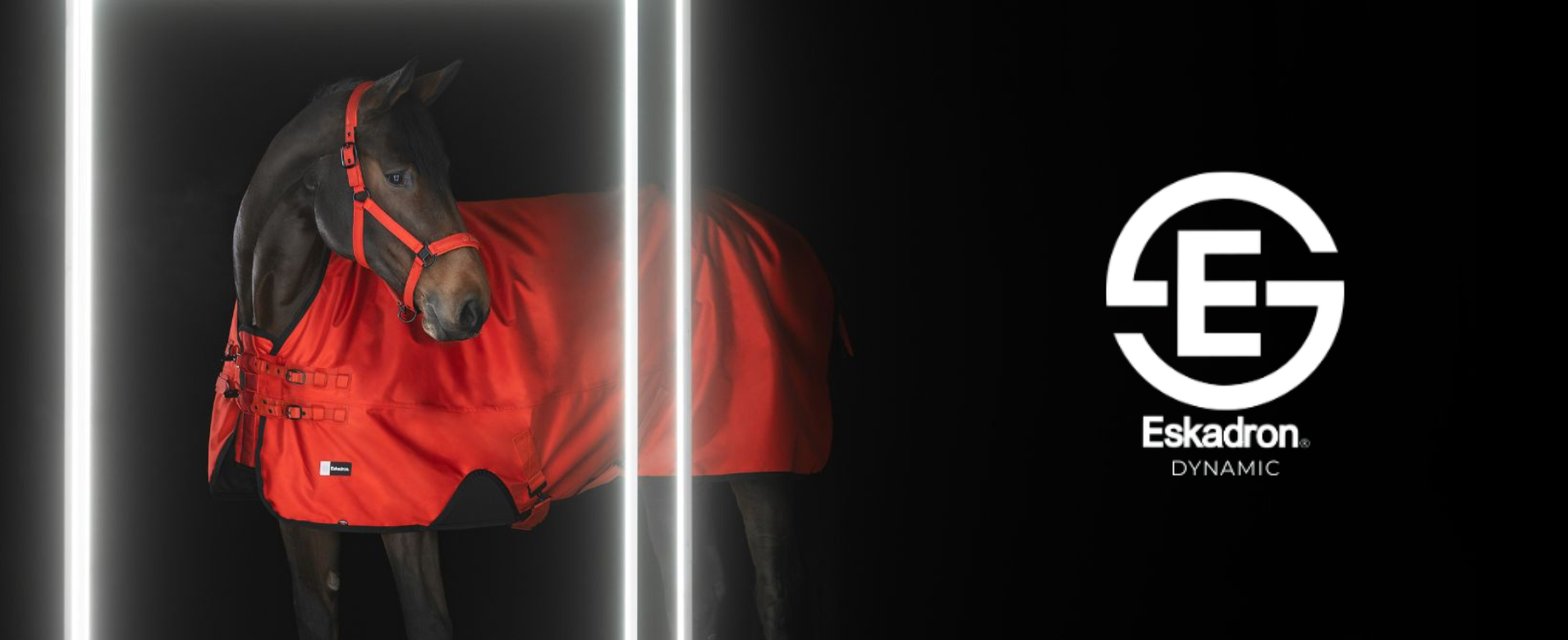 IMAGINE Lovas Szakáruház