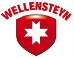 Wellensteyn
