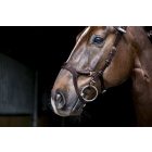 PS Nirak anatómiai kantár