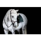 PS Nirak anatómiai kantár