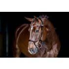 PS Nirak anatómiai kantár