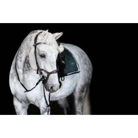 PS Nirak anatomical bridle (3) PS Nirak anatomical bridle (3)