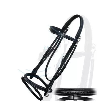 Imagine Quick Release bridle