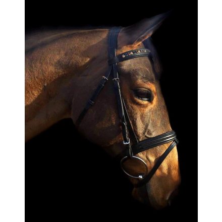 Imagine decorated browband bridle