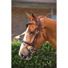 Imagine Fancy embroidered bridle harness with stem Imagine Fancy embroidered bridle harness with stem