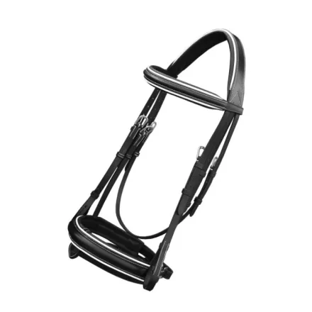 Imagine Dressage lacquer-lined bridle and stem