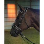 Imagine Dressage lacquer-lined bridle and stem