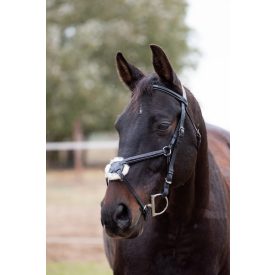 Imagine De Lux embroidered Mexican briddle Imagine De Lux embroidered Mexican briddle