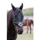 Imagine De Lux embroidered Mexican briddle