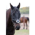 Imagine De Lux embroidered Mexican briddle