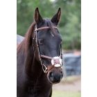 Imagine De Lux embroidered Mexican briddle