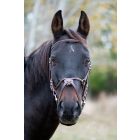 Chetak Mexican bridle