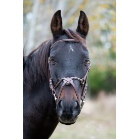 Chetak Mexican bridle Chetak Mexican bridle