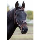 Chetak Mexican bridle