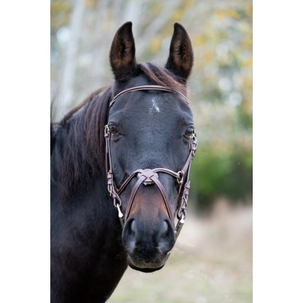 Chetak Mexican bridle