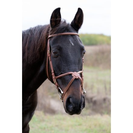 Chetak Mexican bridle