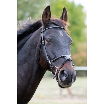 Chetak Mexican bridle