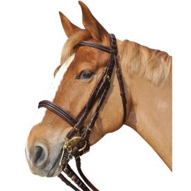 Chetak narrow nose strap Weymouth briddle Chetak narrow nose strap Weymouth briddle