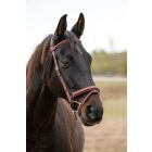 Imagine Dressaga S-Series briddle+webbing