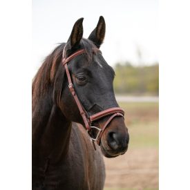 Imagine Dressaga S-Series kantár+gurtni
