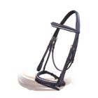 Imagine Fancy embroidered lined bridle