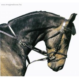 Chetak thiedemann martingál rézcsatos Chetak thiedemann martingál rézcsatos