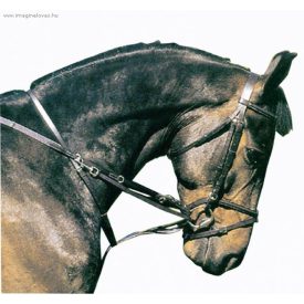 Chetak thiedemann szár rézcsatos Chetak thiedemann szár rézcsatos