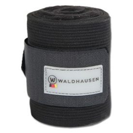 Waldhausen kombinált fásli