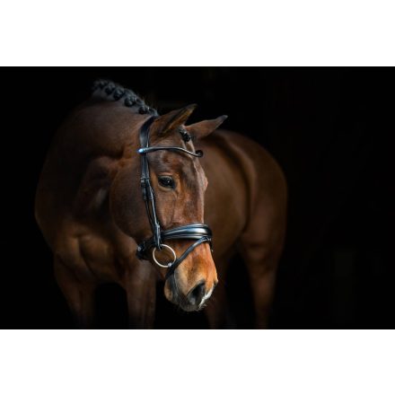 PS GP anatomical bridle (3)