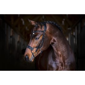 PS High Jump anatomical bridle (3) PS High Jump anatomical bridle (3)