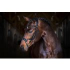 PS High Jump anatómiai kantár