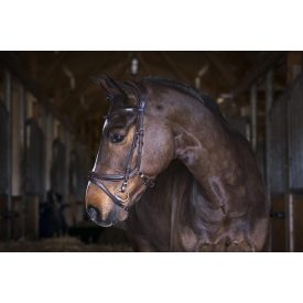 PS Jump Off anatomical bridle (3) PS Jump Off anatomical bridle (3)