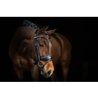 PS GP anatomical bridle