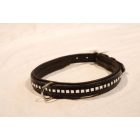 Imagine dog collar cubic rhinestone