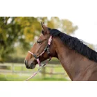 Head collar -Carlotta-