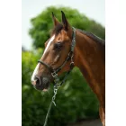 Head collar -Carlotta-
