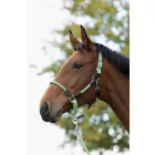 Head collar -Carlotta-