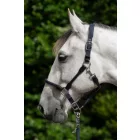 HKM Carlotta kötőfék