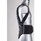 Zandona SPINE EVC X6 M