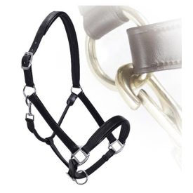 Imagine padded leather halter carabiner Imagine padded leather halter carabiner