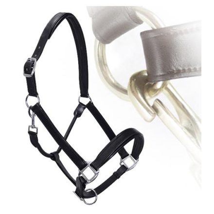 Imagine padded leather halter carabiner