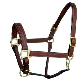 Imagine Padded leather Halter Imagine Padded leather Halter