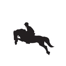 HKM Autó matrica, ugró lovas