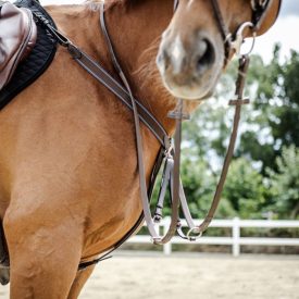 Stübben 1060-as angol szügyhám-martingál Stübben 1060-as angol szügyhám-martingál