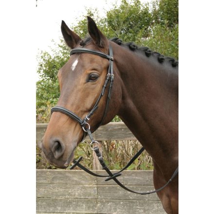 Bitless bridle