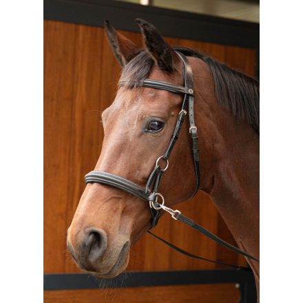 Bitless bridle