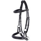 Bitless bridle