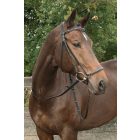 Drop noseband bridle
