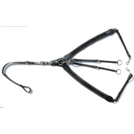 Imagine elastic Y breastplate martingale Imagine elastic Y breastplate martingale