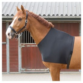 Harry's Horse vállvédő takaró alá Harry's Horse vállvédő takaró alá